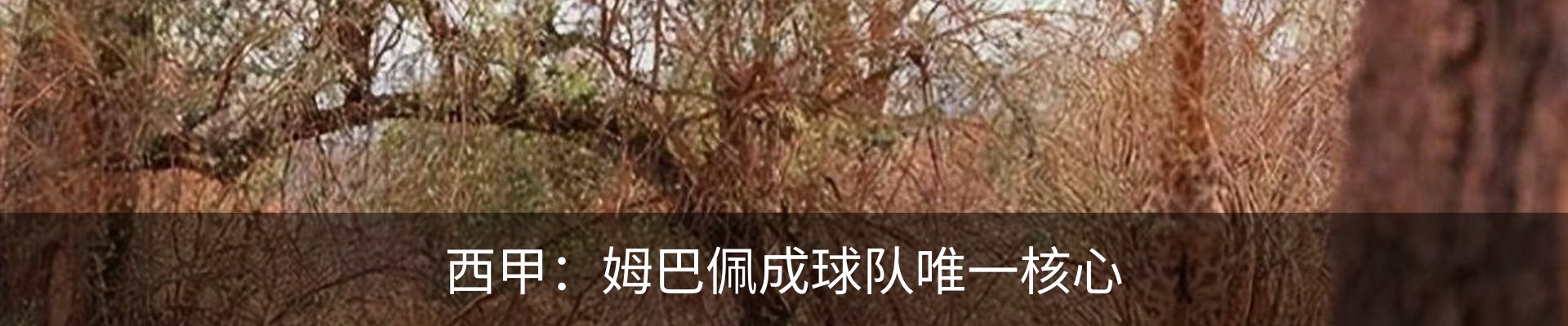 内页banner